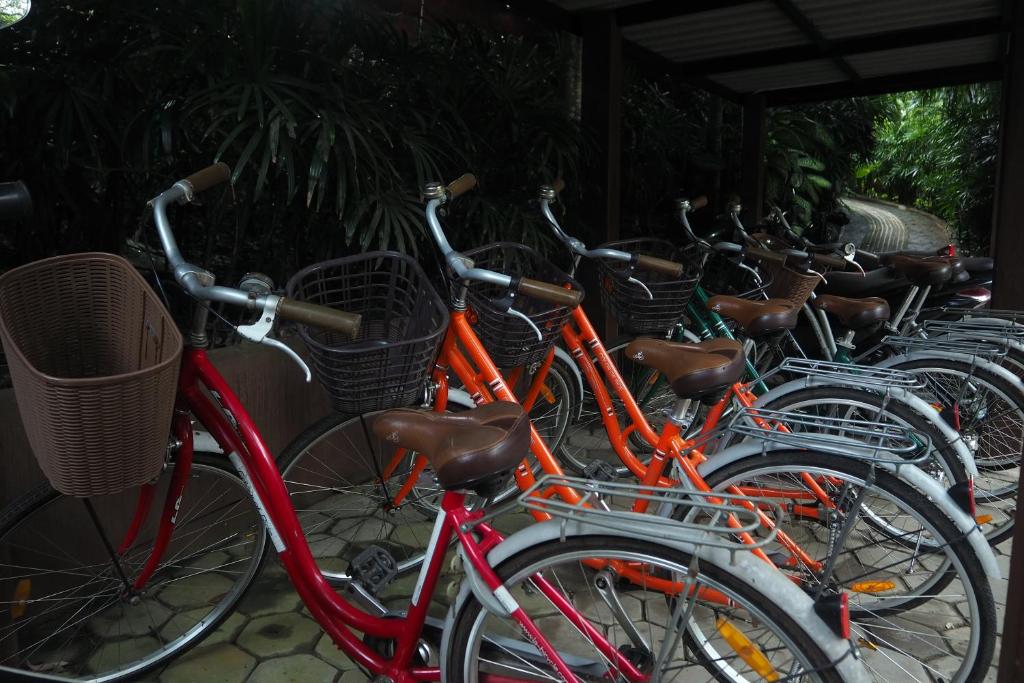 Sports and activities