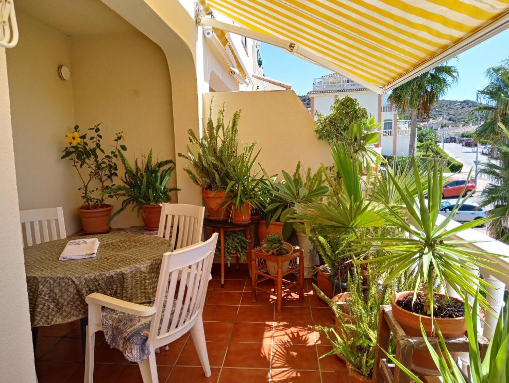 Casa Cariño - 4