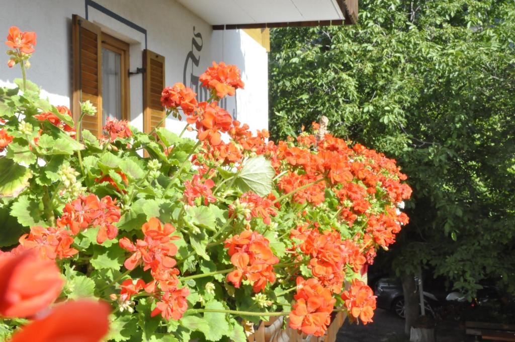 Garni Kofler photo