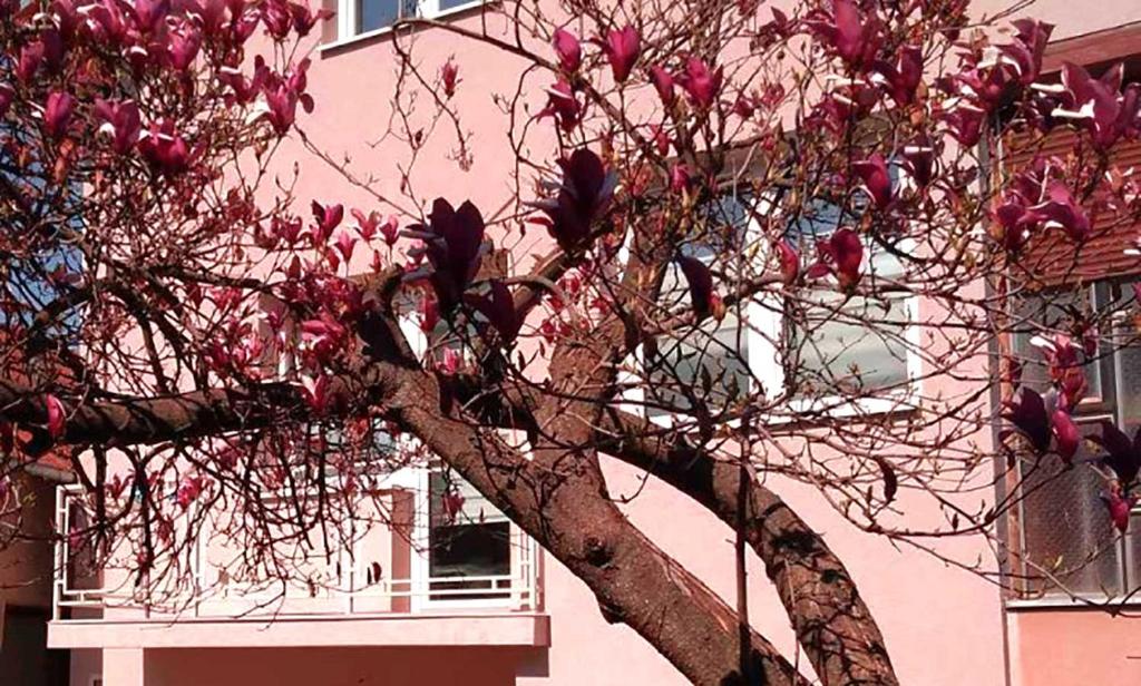 Apartmani MIBOR - 2