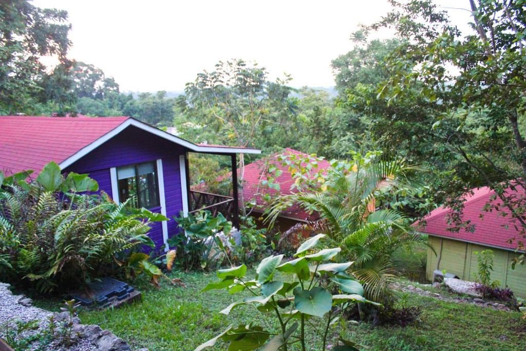 Winika Alterra — Hotel in Palenque