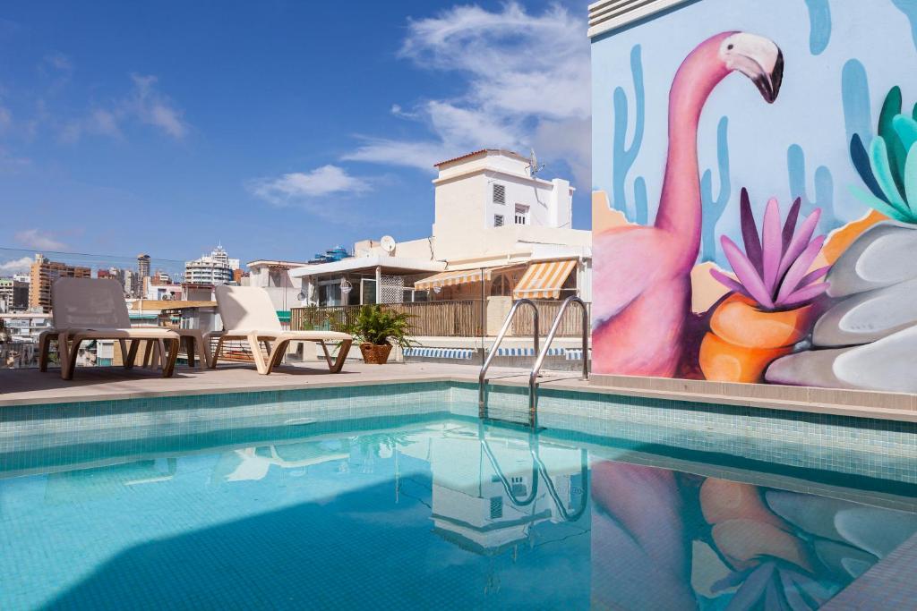 Apartamentos Mayal con Piscina photo