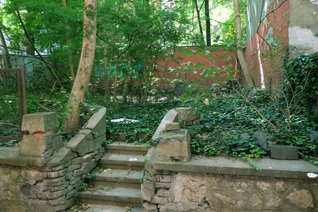 Studio Paradise Forest photo