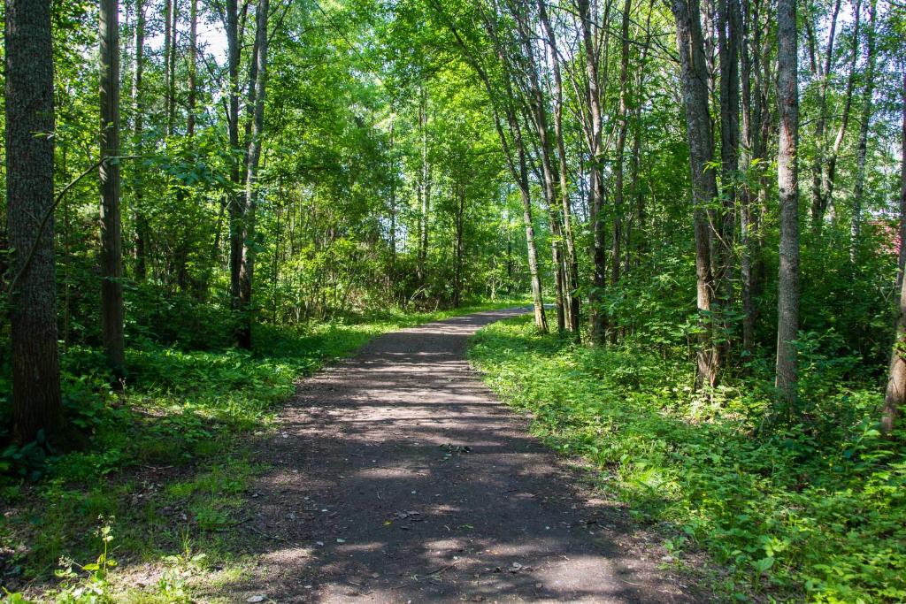 Surrounding environment