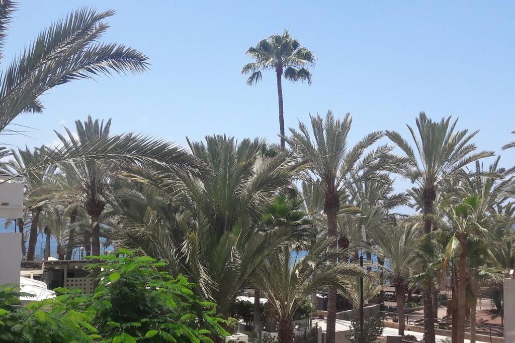 Guayero, Bel appartement à 50m de la mer - 4