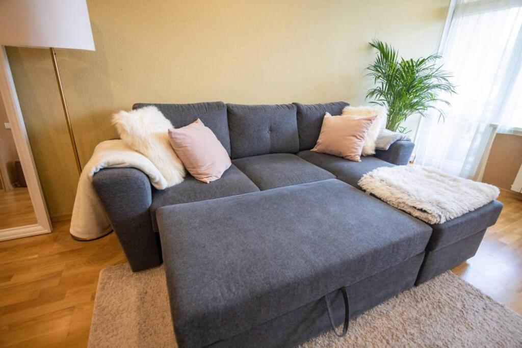 Beautiful & spacious apartment in Valmiera photo