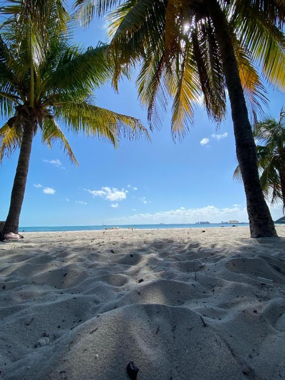 OQP Vacations Miami photo