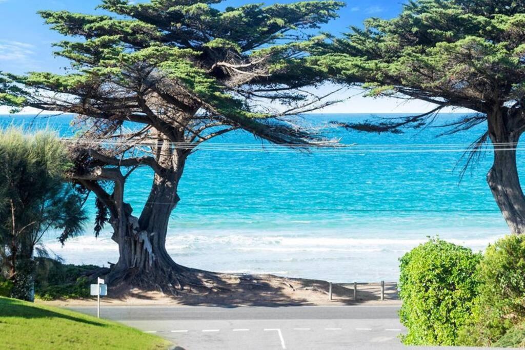 150 Steps FREE WI-FI, Apollo Bay