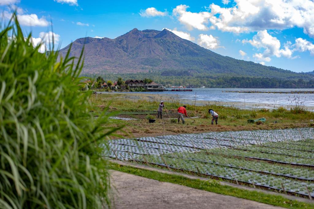 Pondok Manoka photo