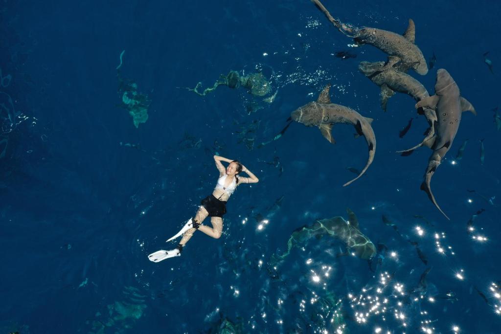 Sports and activities