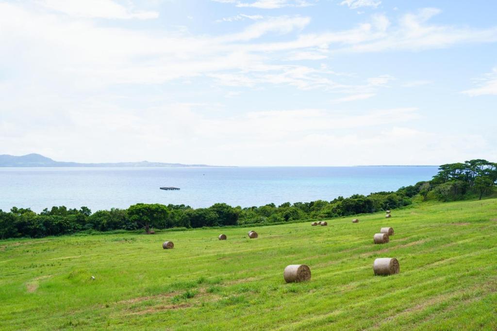 Surrounding environment