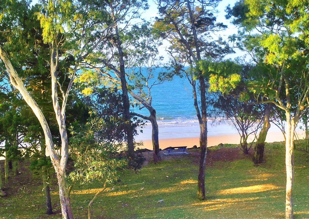 Shelly Bay Resort photo
