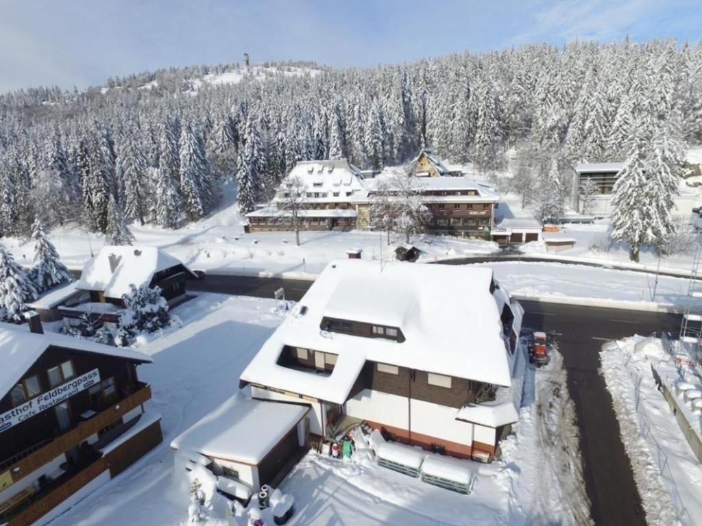 Ferienwohnung auf 1233m direkt am Feldberg, vorm Skilift und Skipiste