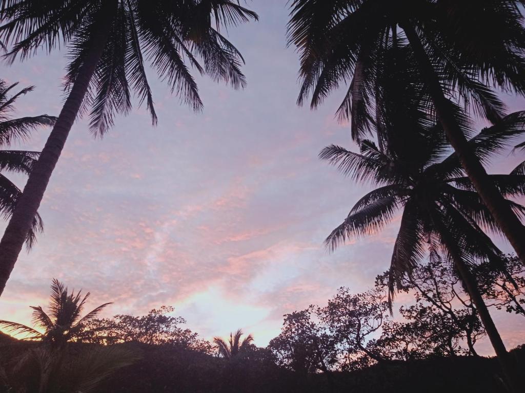 Surrounding environment