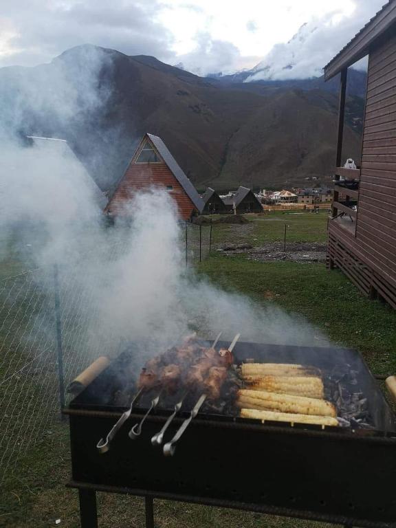 Kazbegi Twins photo