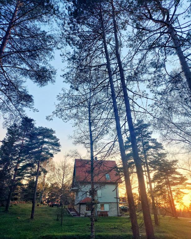 Apartman Tripković - 1