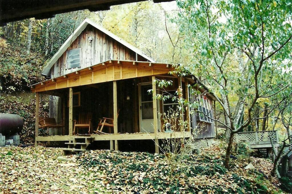 The Tulip Poplar, Topton
