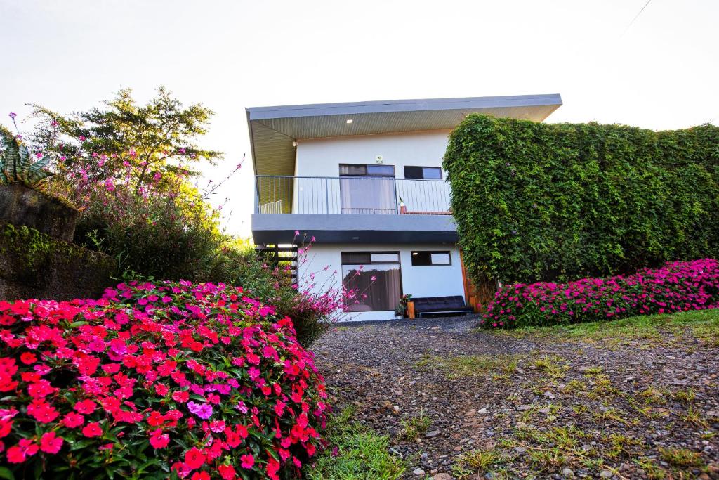 Casa Suculenta photo