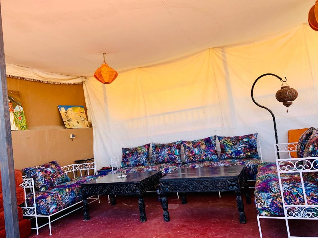 Riad Jomana photo
