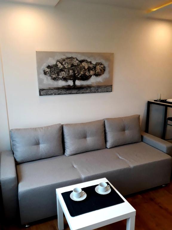 Apartment Vanilla Belgrade - 2