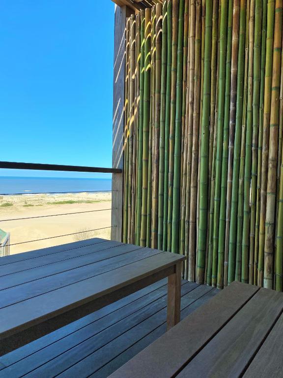 Ojos de la Viuda - 5