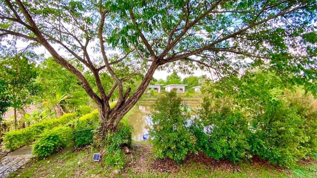 Surrounding environment