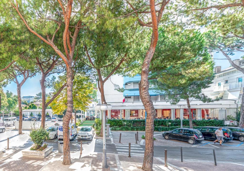 HOTEL ZANARINI in CENTRO a Riccione - 5