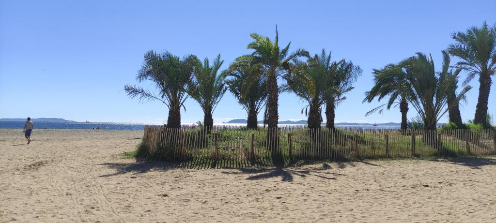 chambres côté plage, aperçu mer, proche aéroport, climatisées et parking gratuit - 1