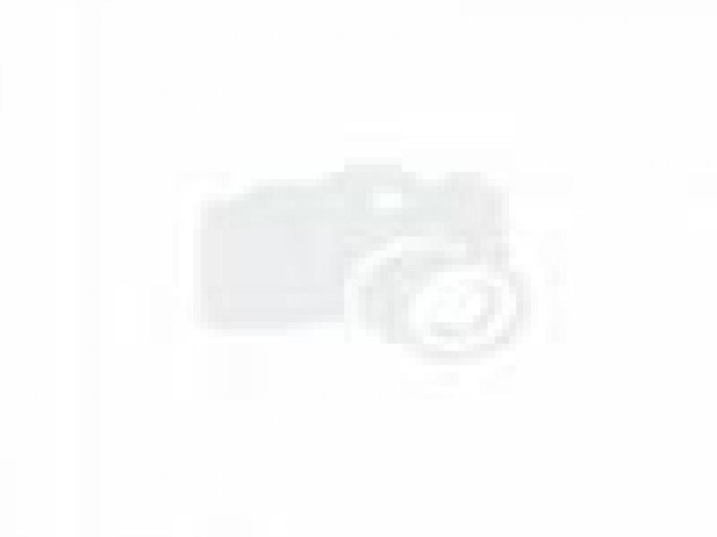 Just Add Water, Oak Island