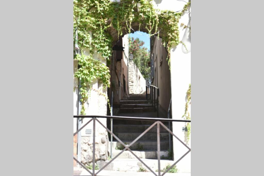 PICASSO by the sea Luxurious design house sea view old Antibes for 6 - 5