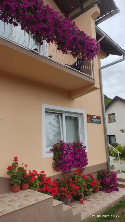 Guest House Sobic 전경