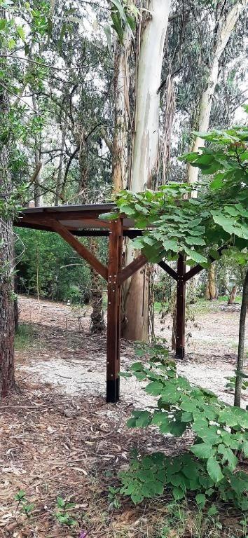 Cabañas Monoambiente La Foresta, en Mar de las Pampas - 2