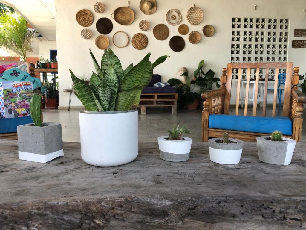 Casa Greca photo