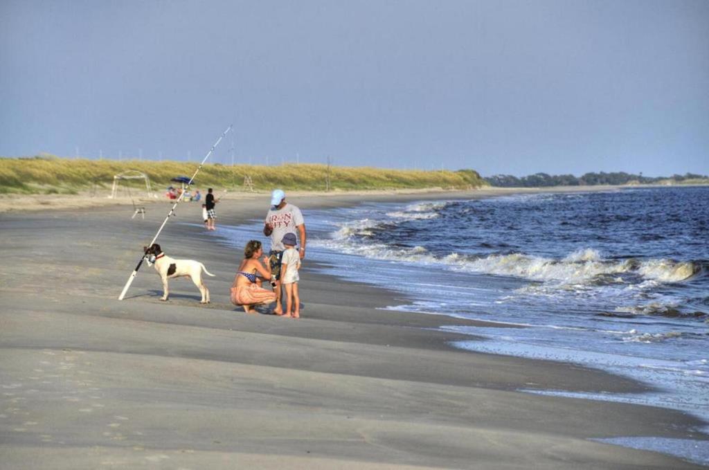 Dolphin Delight, Oak Island
