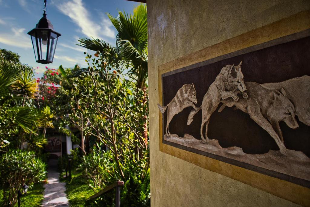 Casa Lobo Bungalows photo