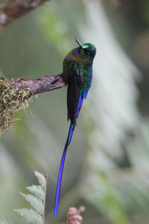 Surrounding environment