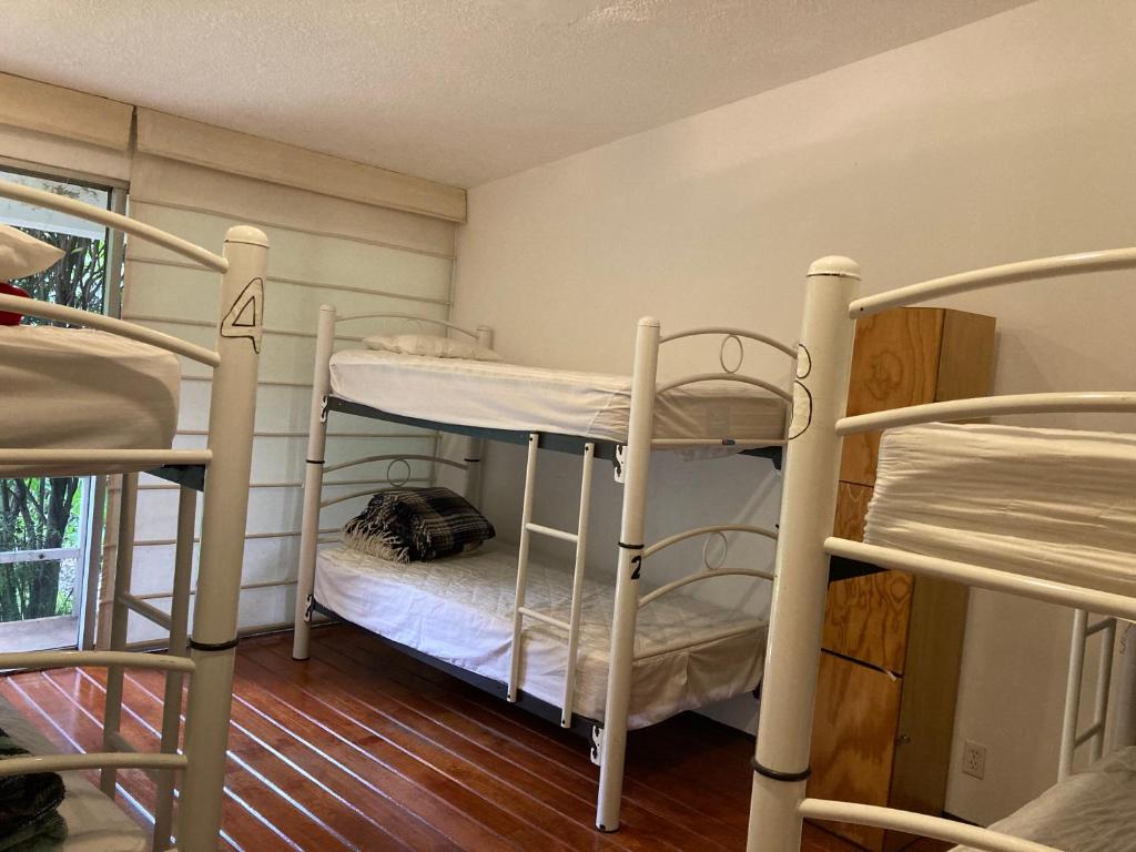 Hostal Cuija Coyoacan Berlin 268 Coyoacan photo