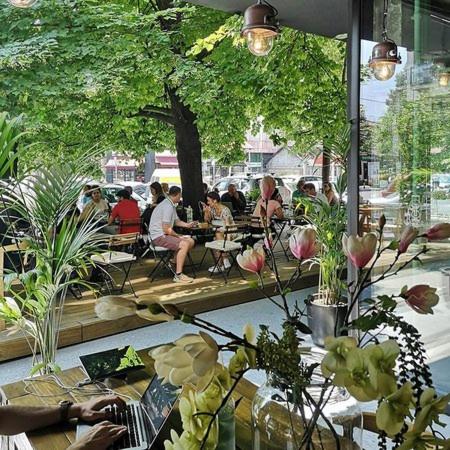 OLIVERA APARTMENT - 4