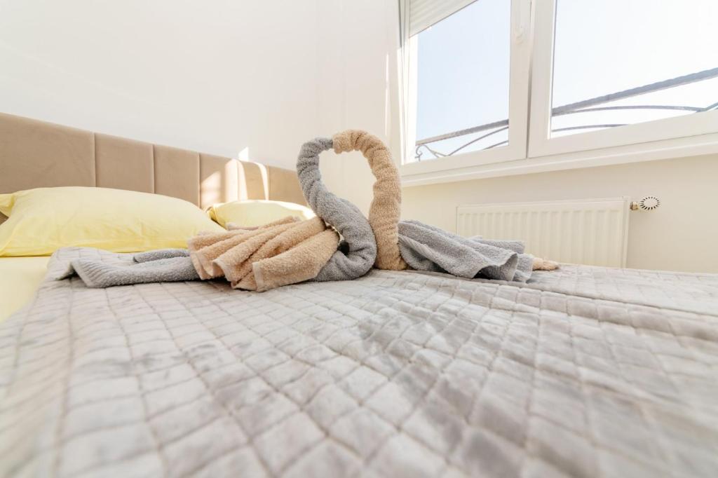 Apartman Jovana Banja Koviljaca - 4