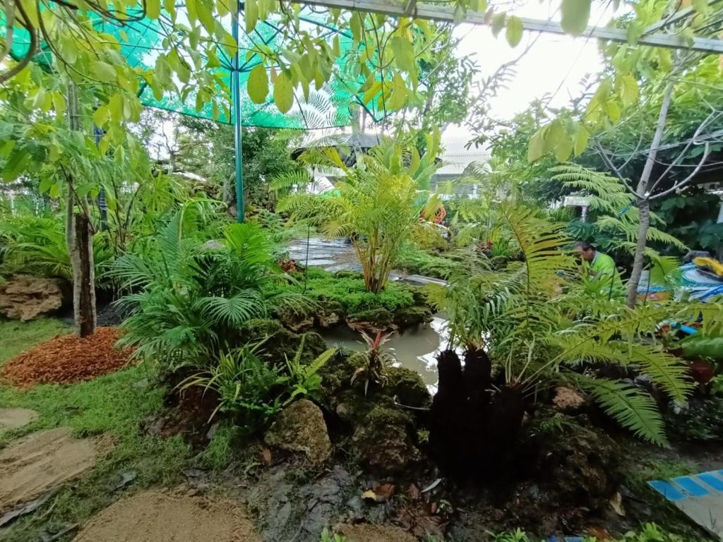 Garden
