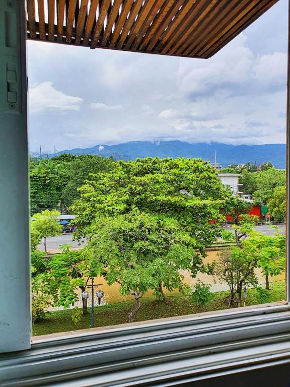 ザ ムーン ハウス (The Moon House) 眺望