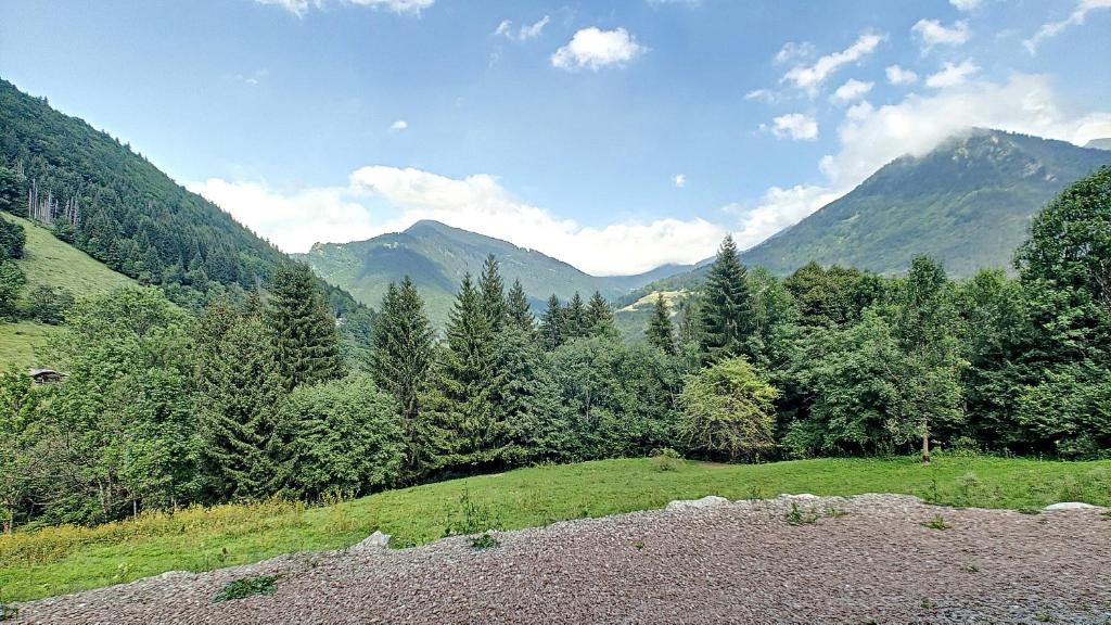 Joli APPARTEMENT DANS CHALET AVEC TERRASSE - SAINT JEAN D'AULPS - PROCHE MORZINE - 6 PERSONNES - LILOU - 3