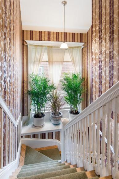 The Coolidge Corner Guest House: A Brookline Bed and Breakfast photo