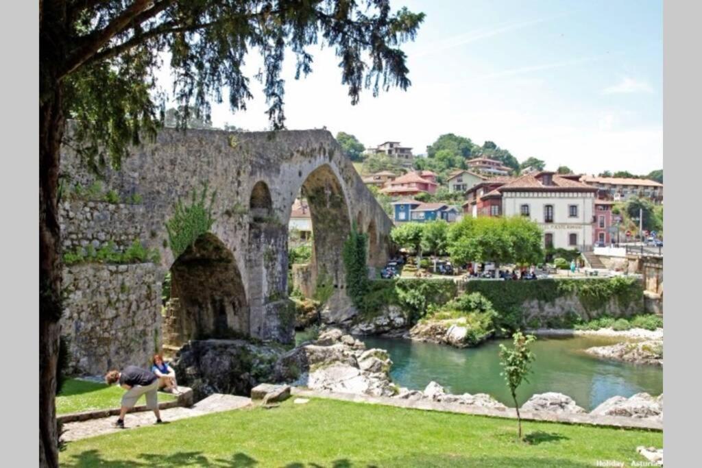 CANGAS DE ONIS LUCY - 1