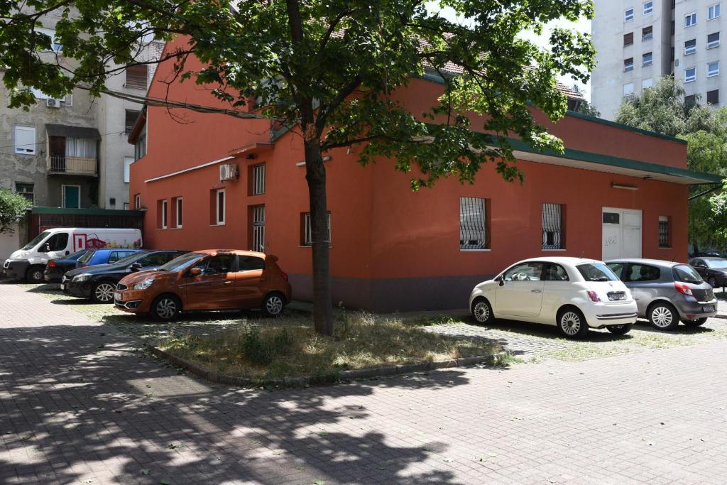 Mary's apartment - with free parking photo