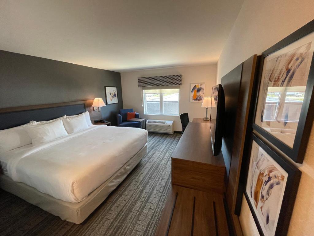Comfort Inn & Suites photo