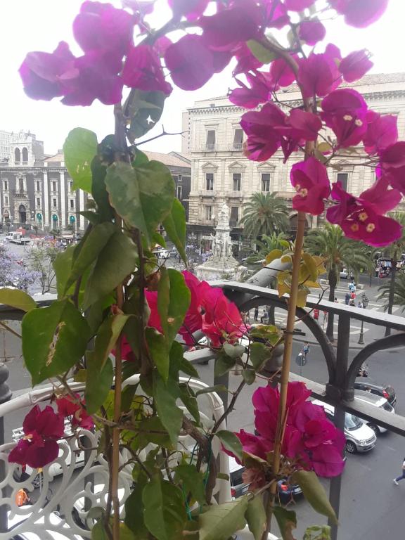 B&amp;B Florio — Hotel in Catania