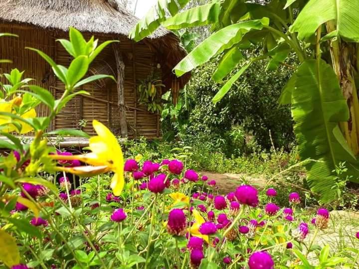 Chon Nhu Farmstay Healing Retreat photo