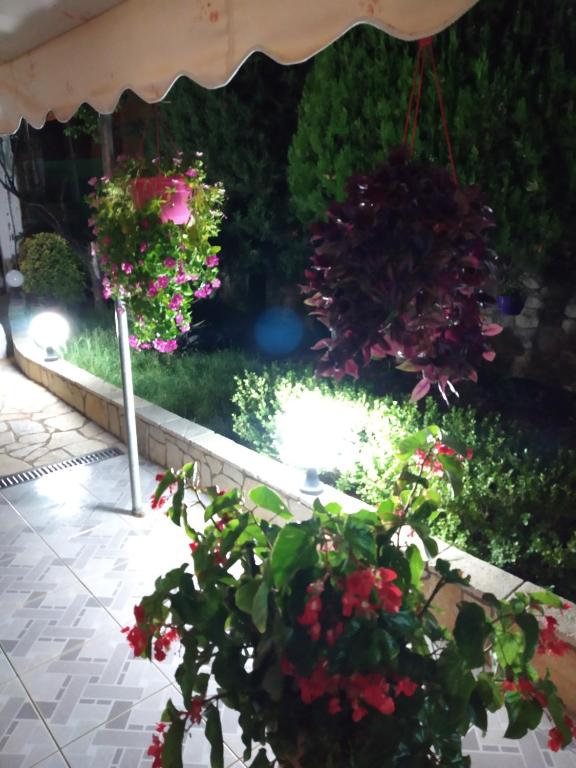 Villa Zira Sulo — Hotel in Saranda