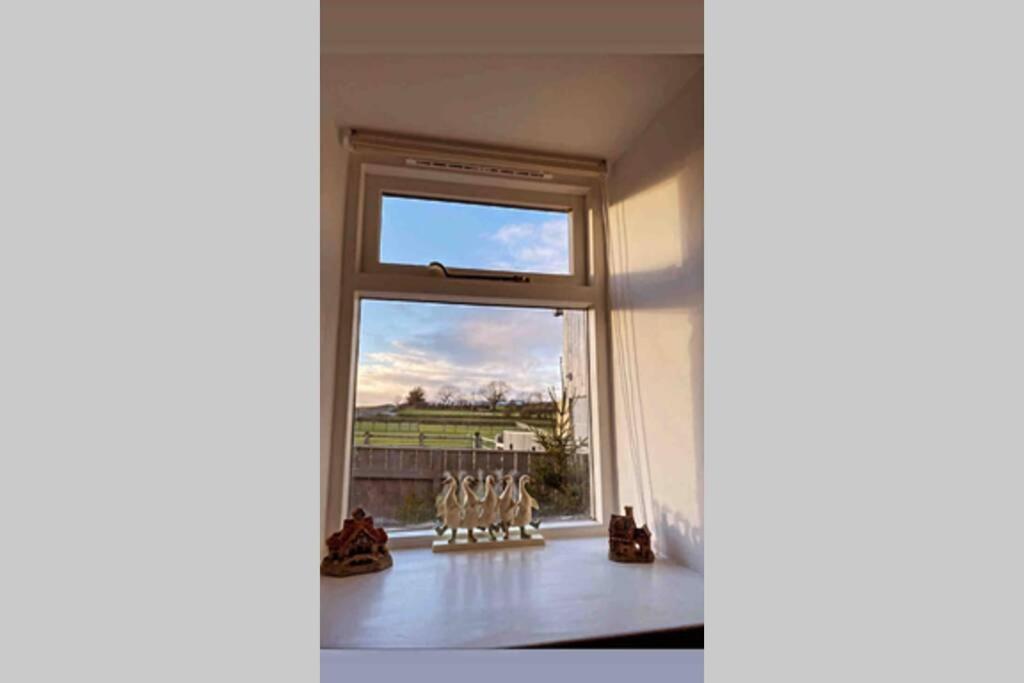Phil's Cottage, Barnard Castle photo 8